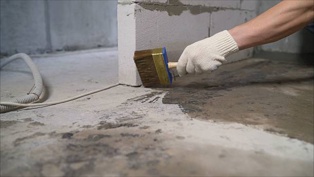 SJ Waterproofing Pros Crawl Space Encapsulation coverage map for Pompeii, MI and surrounding area